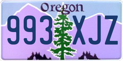 OR license plate 993XJZ