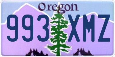 OR license plate 993XMZ