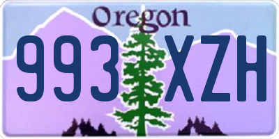 OR license plate 993XZH