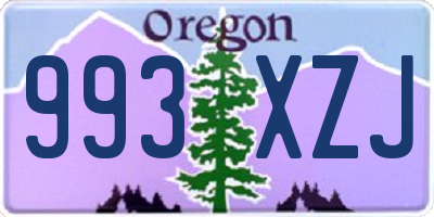 OR license plate 993XZJ