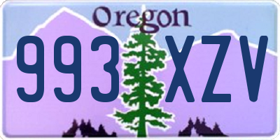 OR license plate 993XZV