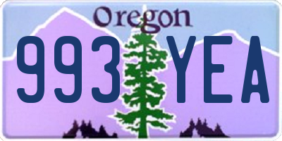 OR license plate 993YEA