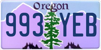 OR license plate 993YEB