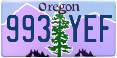 OR license plate 993YEF