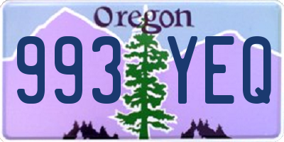 OR license plate 993YEQ