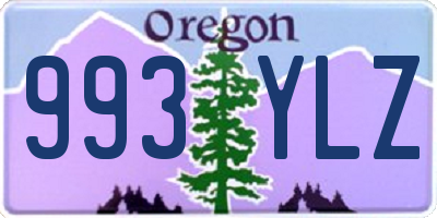 OR license plate 993YLZ