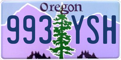 OR license plate 993YSH