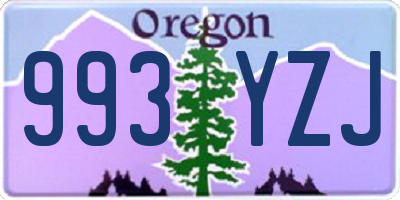 OR license plate 993YZJ