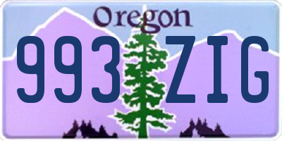 OR license plate 993ZIG