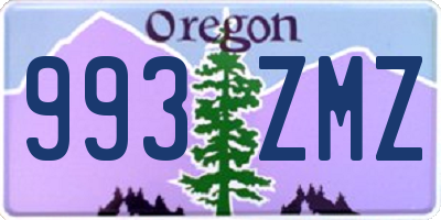 OR license plate 993ZMZ