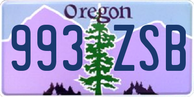 OR license plate 993ZSB