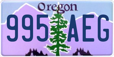 OR license plate 995AEG