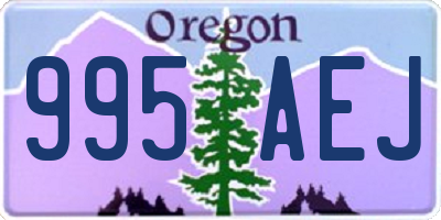 OR license plate 995AEJ