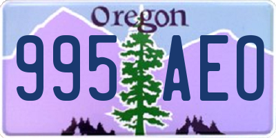 OR license plate 995AEO