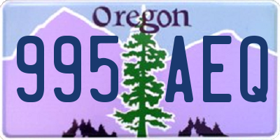 OR license plate 995AEQ