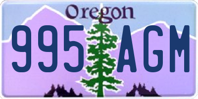 OR license plate 995AGM
