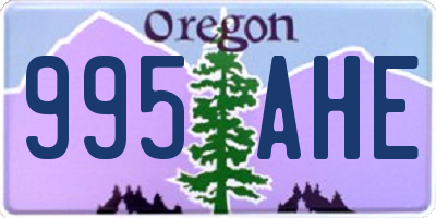OR license plate 995AHE