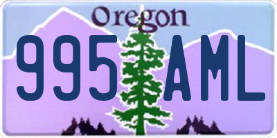 OR license plate 995AML