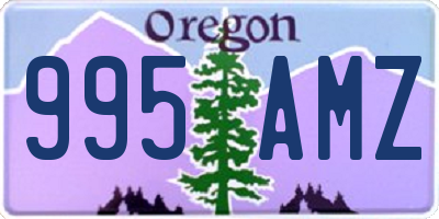 OR license plate 995AMZ