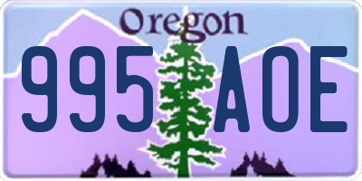 OR license plate 995AOE