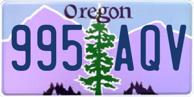 OR license plate 995AQV