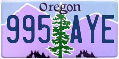 OR license plate 995AYE