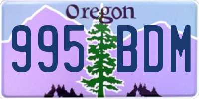 OR license plate 995BDM
