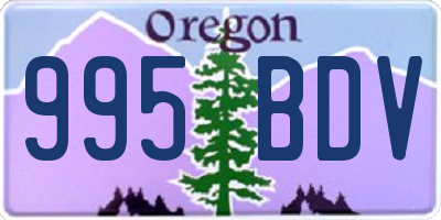 OR license plate 995BDV