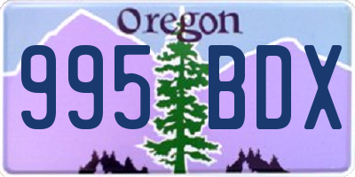 OR license plate 995BDX
