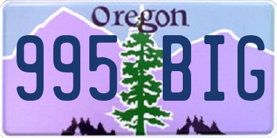 OR license plate 995BIG