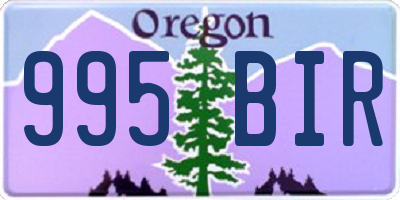 OR license plate 995BIR