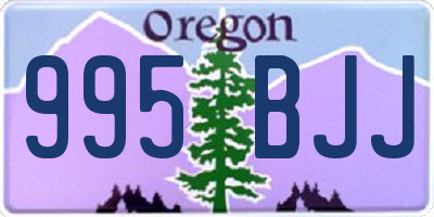 OR license plate 995BJJ