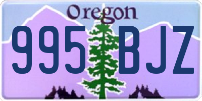 OR license plate 995BJZ