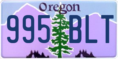 OR license plate 995BLT