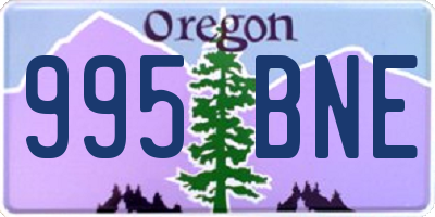 OR license plate 995BNE
