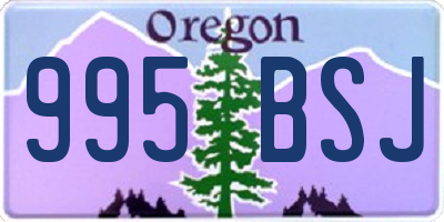 OR license plate 995BSJ