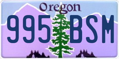 OR license plate 995BSM