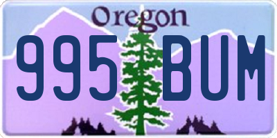 OR license plate 995BUM
