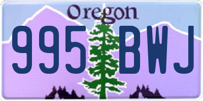 OR license plate 995BWJ