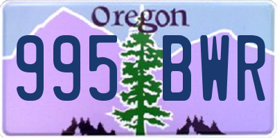 OR license plate 995BWR