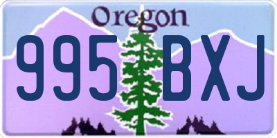 OR license plate 995BXJ