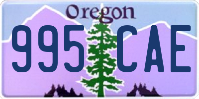 OR license plate 995CAE