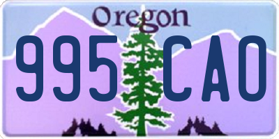 OR license plate 995CAO