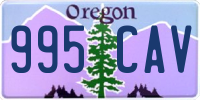 OR license plate 995CAV