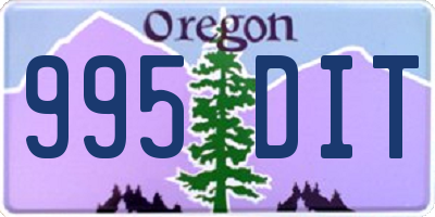 OR license plate 995DIT