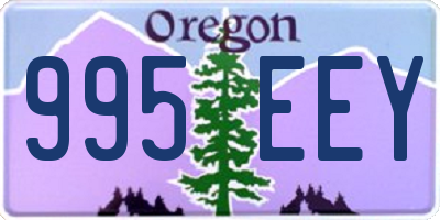 OR license plate 995EEY