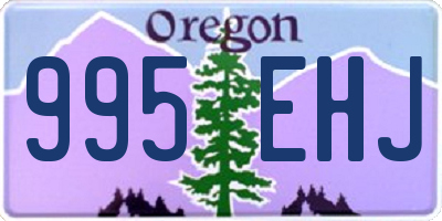 OR license plate 995EHJ