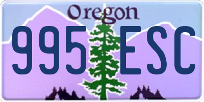 OR license plate 995ESC