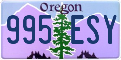 OR license plate 995ESY