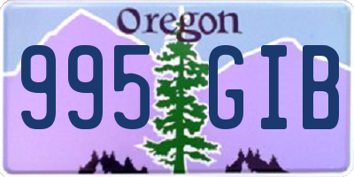 OR license plate 995GIB